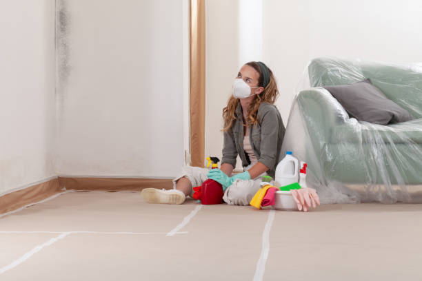 Reliable Mold Remediation contractor in Littlestown, PA by WQB Mold Removal